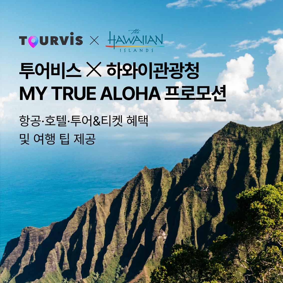 뉴스 사진