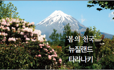 뉴스 사진