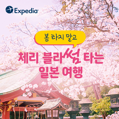 뉴스 사진