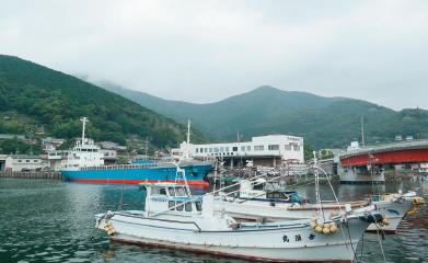 뉴스 사진