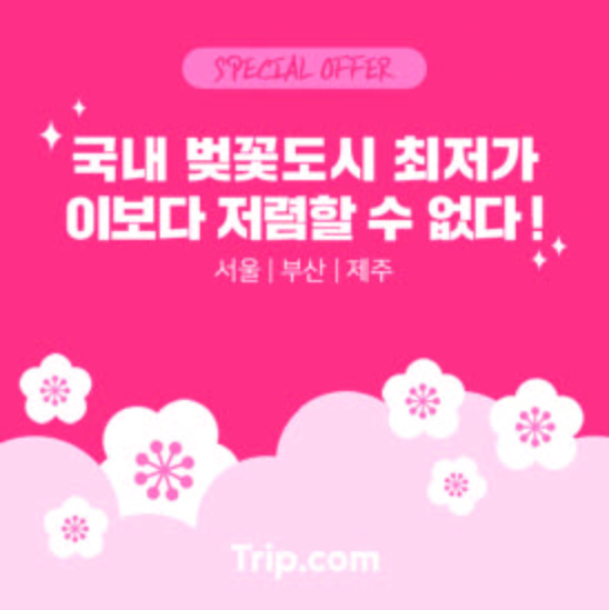 뉴스 사진