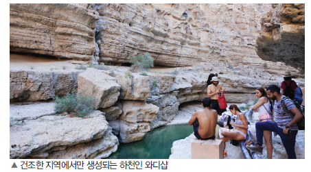 에디터 사진