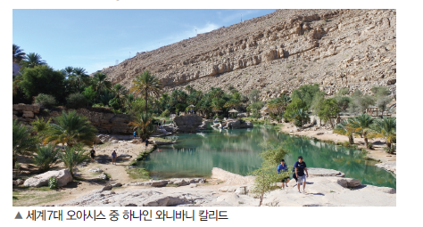 에디터 사진