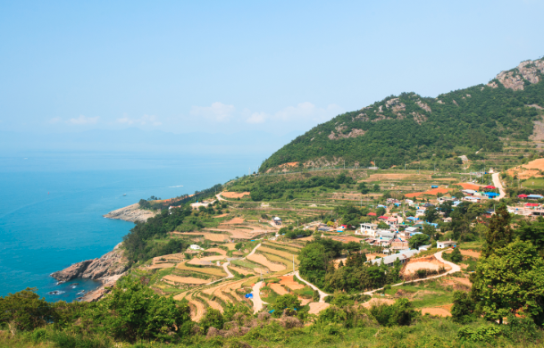 뉴스 사진