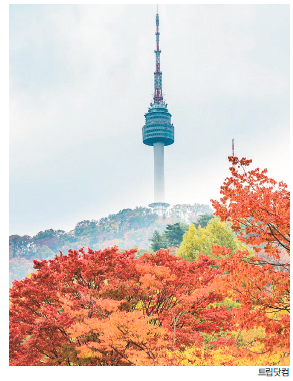 뉴스 사진
