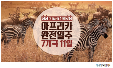뉴스 사진