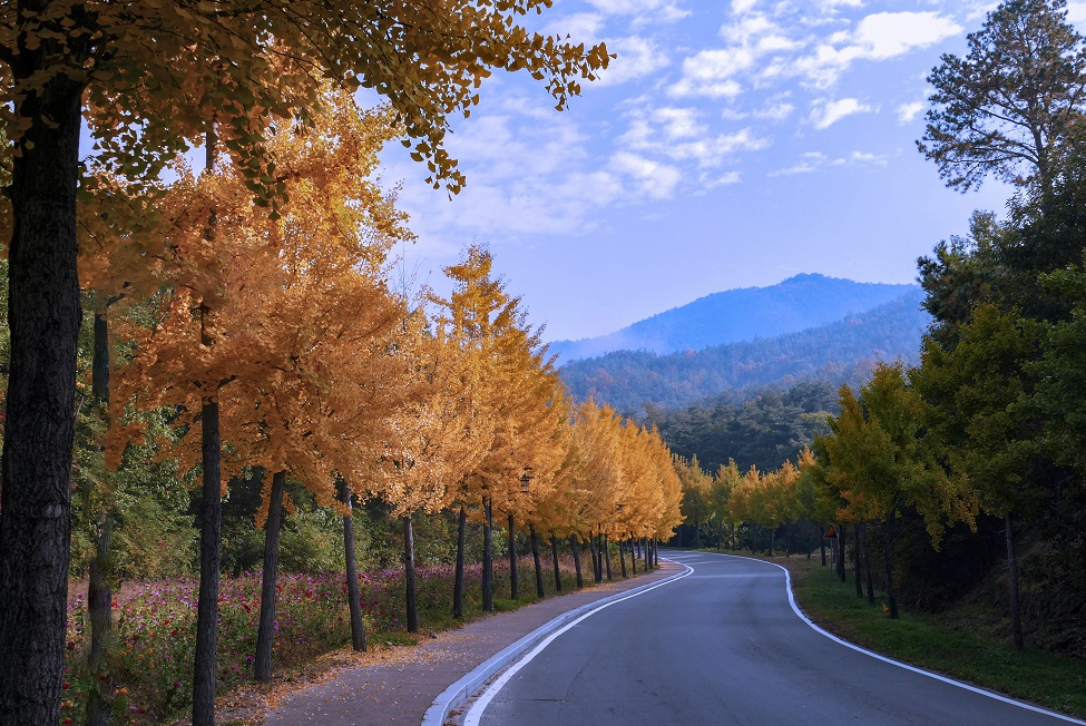 뉴스 사진