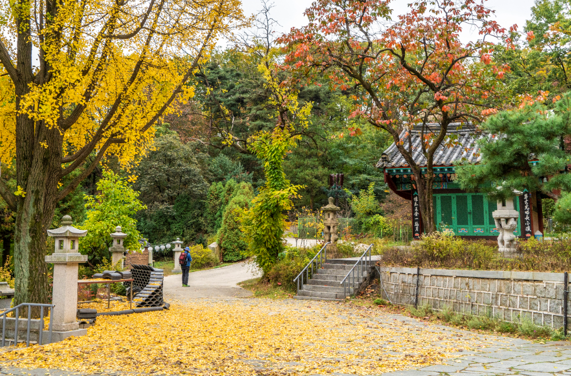 뉴스 사진