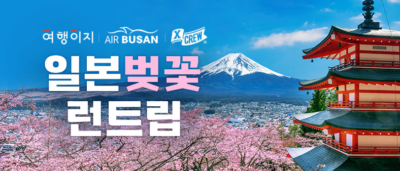 뉴스 사진