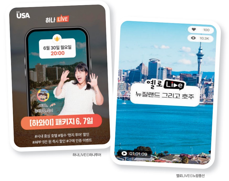 에디터 사진